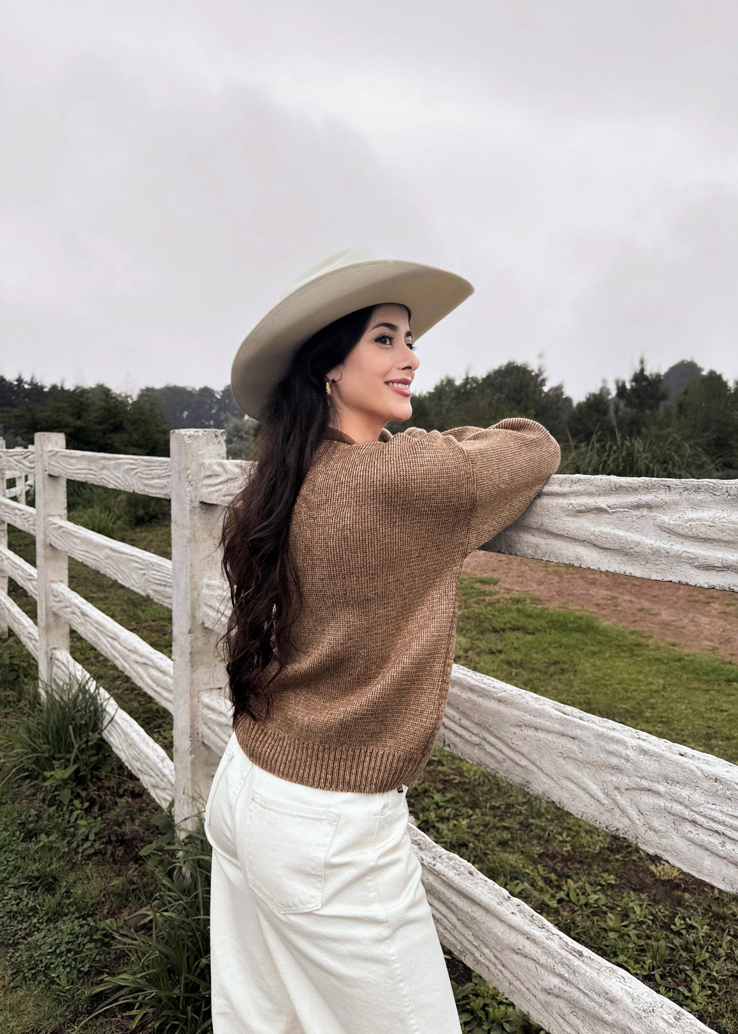 Suéter para dama, diseño especial de caballito, de lana suave, café jaspeado.