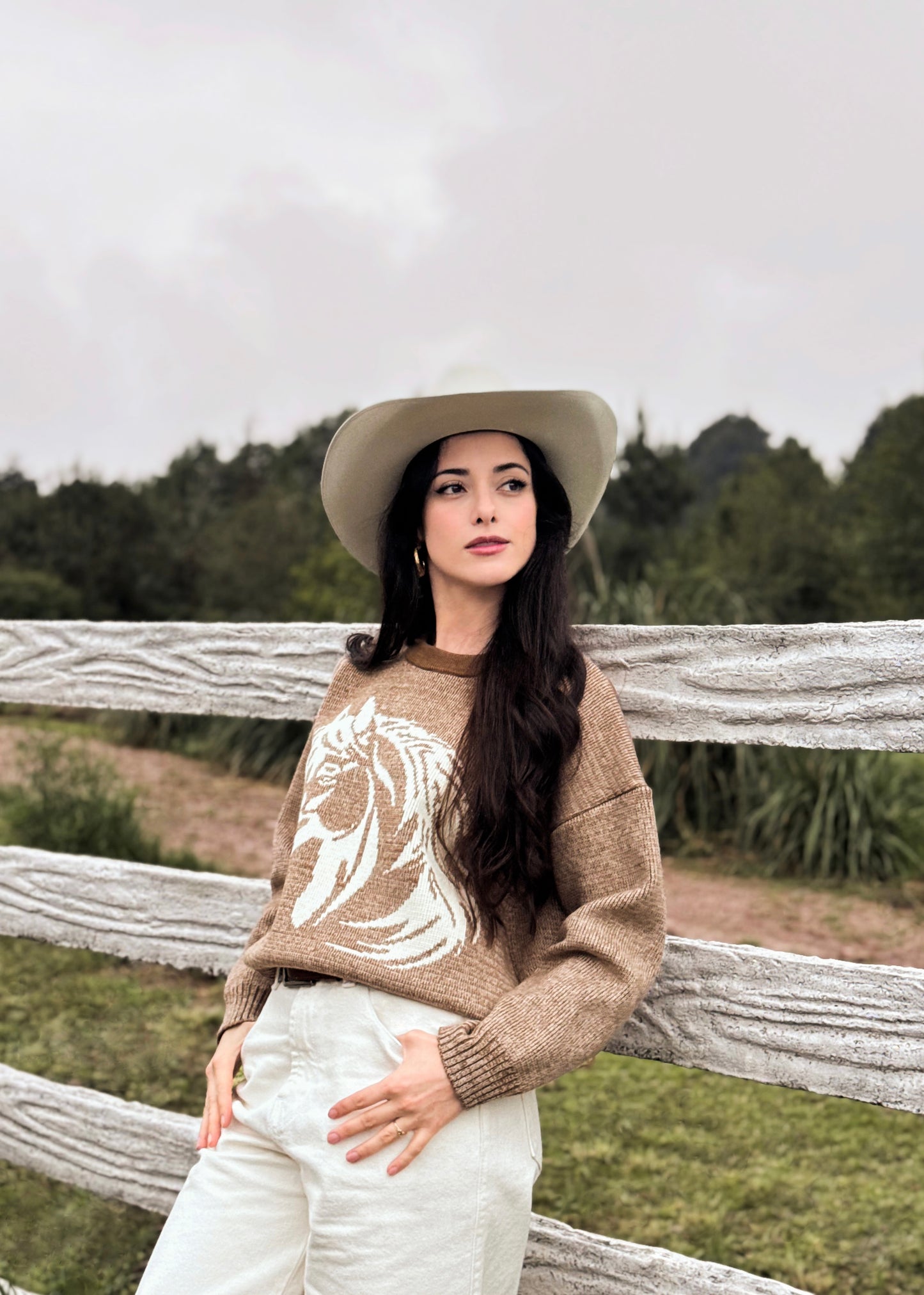 Suéter para dama, diseño especial de caballito, de lana suave, café jaspeado.