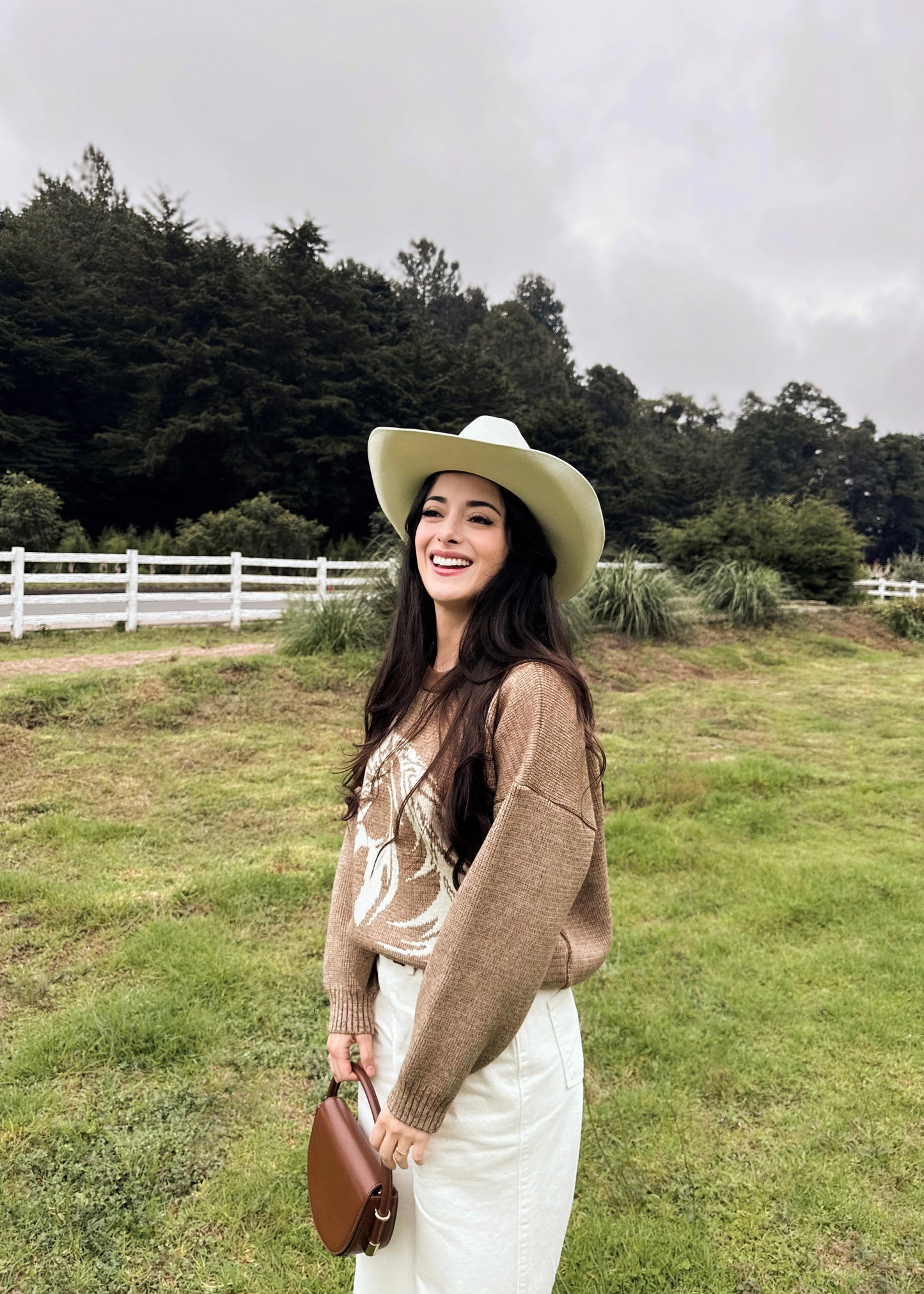 Suéter para dama, diseño especial de caballito, de lana suave, café jaspeado.