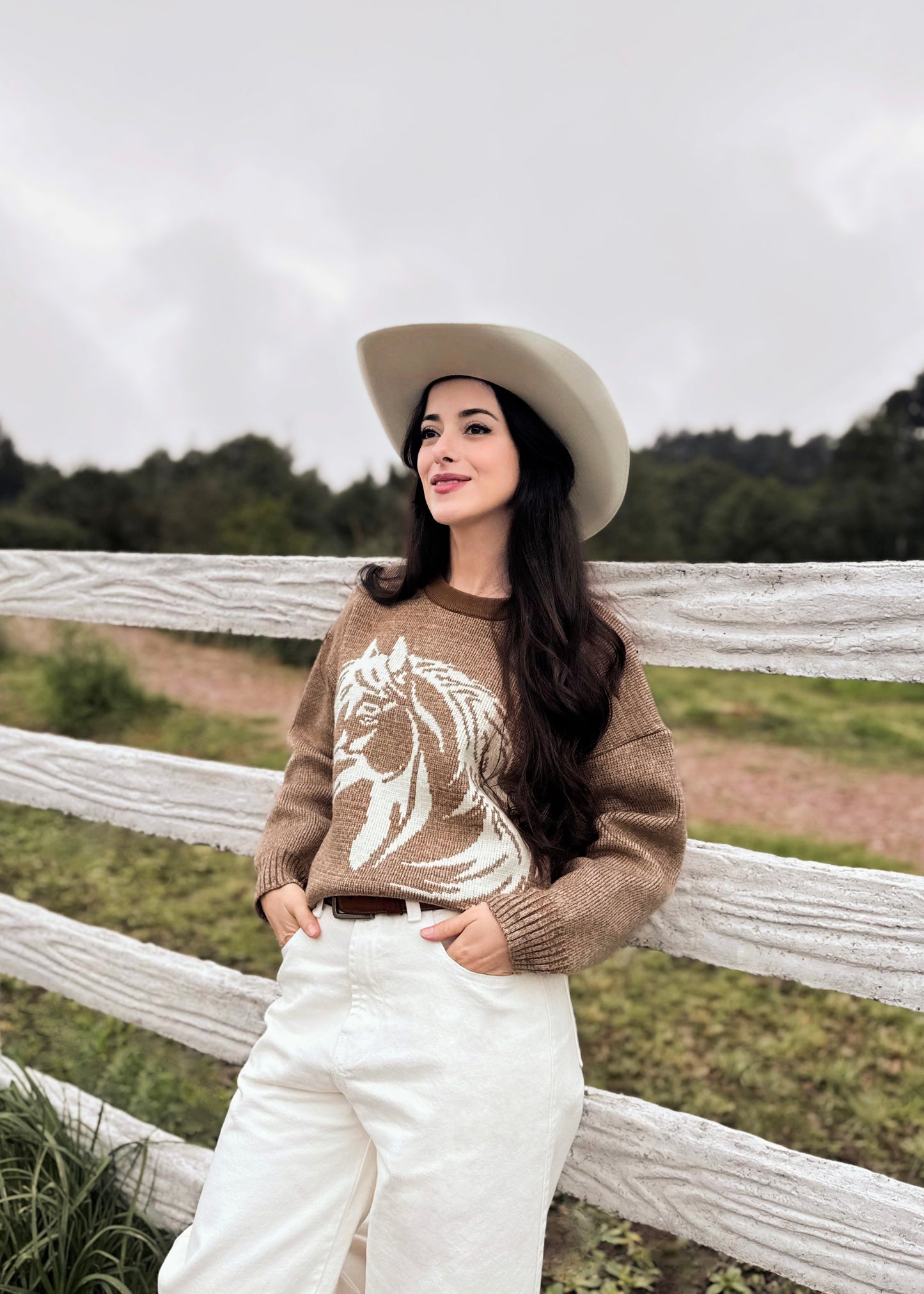 Suéter para dama, diseño especial de caballito, de lana suave, café jaspeado.
