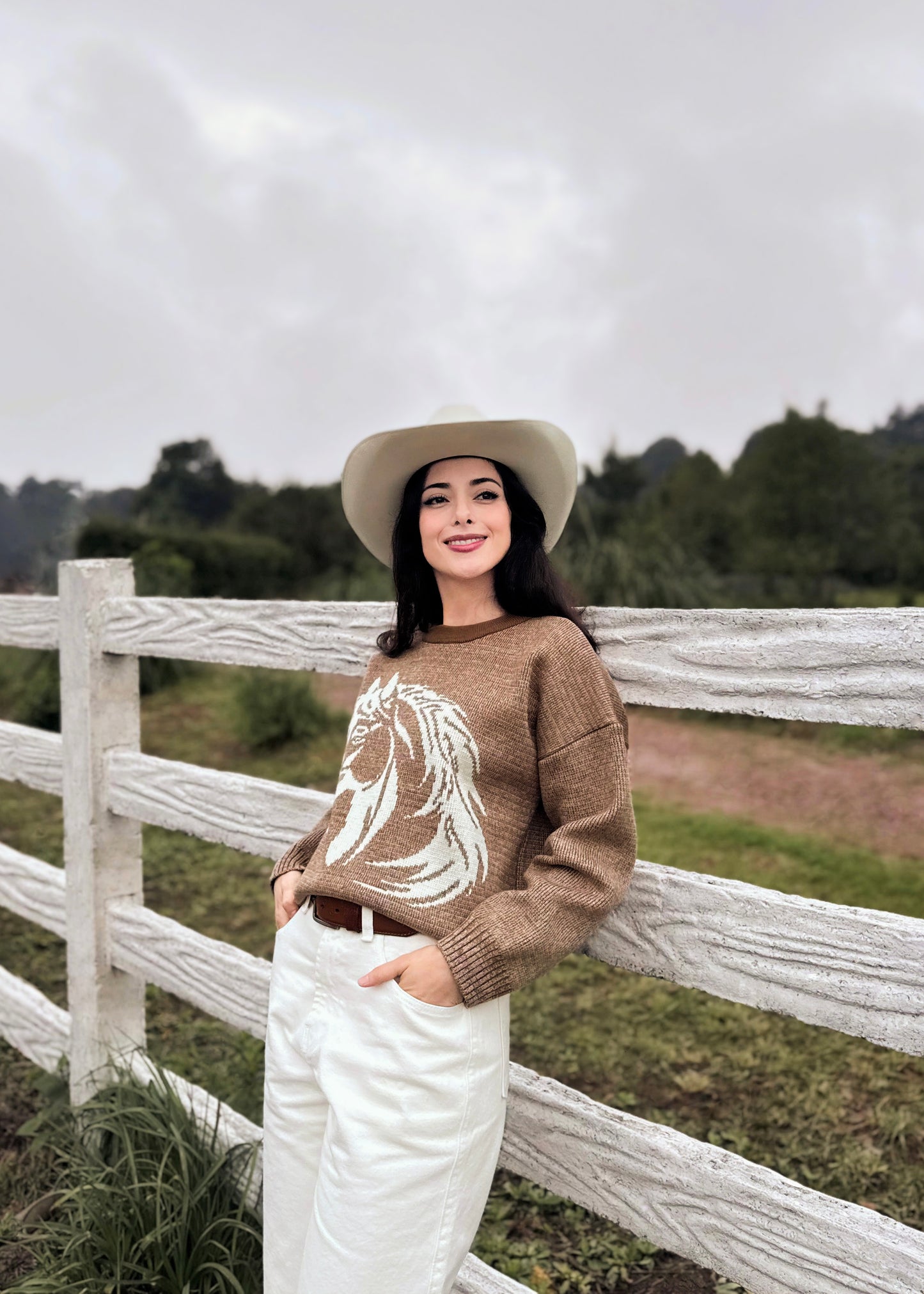 Suéter para dama, diseño especial de caballito, de lana suave, café jaspeado.