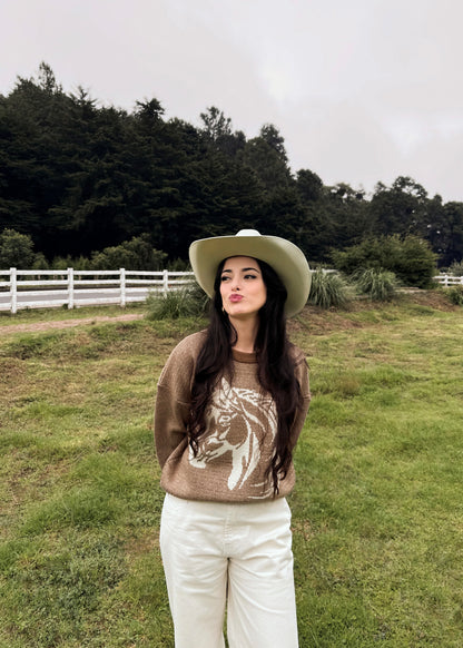 Suéter para dama, diseño especial de caballito, de lana suave, café jaspeado.