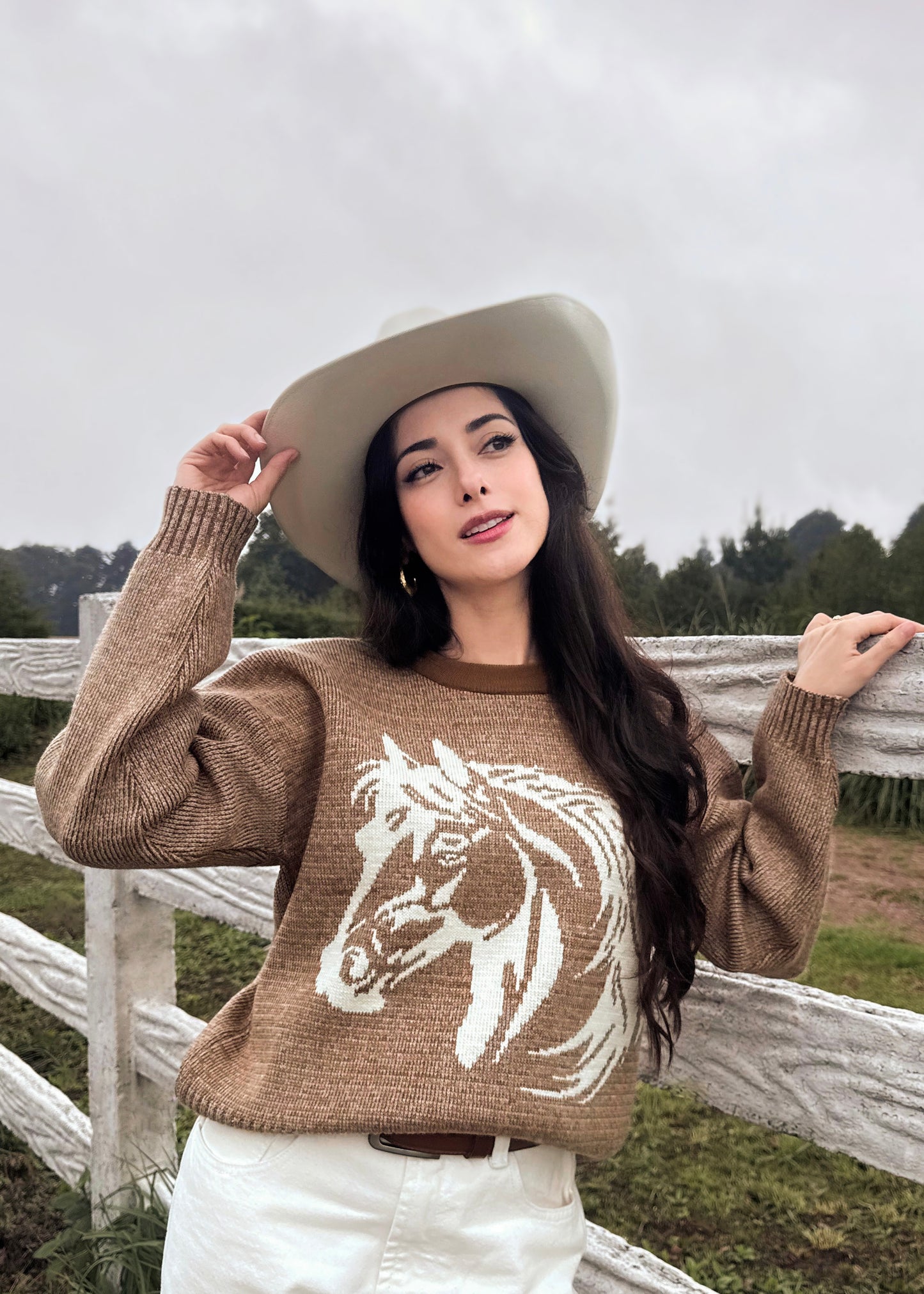Suéter para dama, diseño especial de caballito, de lana suave, café jaspeado.